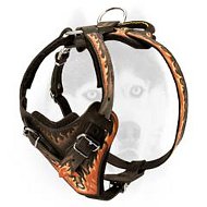 Extra comfort stylish leather harness for your Siberian Husky Extra comfort stylish leather harness for your Siberian Husky
