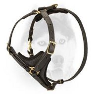 Deluxe Siberian Husky harness with leather felts lining on chest Deluxe Siberian Husky harness with leather felts lining on chest