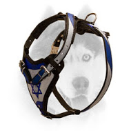 Style Dog Harness for Tracking and Walking Style Dog Harness for Tracking and Walking