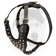 Stylish Studded Leather Dog Harness for Siberian Husky Stylish Studded Leather Dog Harness for Siberian Husky