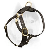 De-luxe handcrafted light weight Siberian Husky harness De-luxe handcrafted light weight Siberian Husky harness