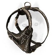 Handmade leather handpainted "Barbed Wire" harness for Siberian Husky Handmade leather handpainted "Barbed Wire" harness for Siberian Husky