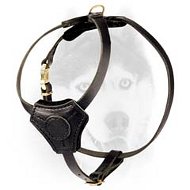 Super light weight equipment for Siberian Husky puppy with style Super light weight equipment for Siberian Husky puppy with style