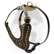 Royal studs Nappa padded leather Siberian Husky harness Royal studs Nappa padded leather Siberian Husky harness