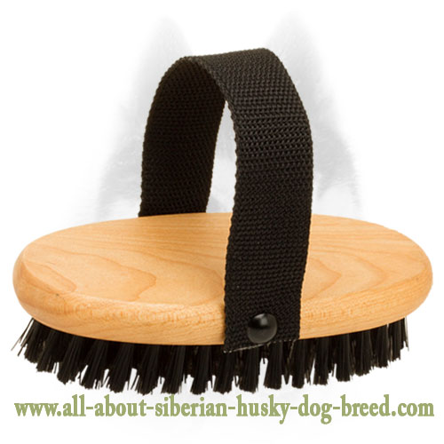 Effective Dog Grooming with Bristle Brush