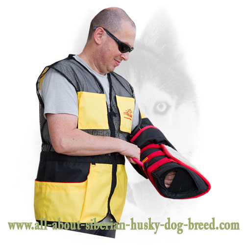 Strong Training Siberian Husky Sleeve for Growing Puppies