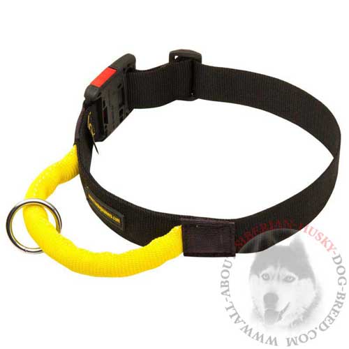 Nylon Dog Collar Adjustable with Quick Release Button