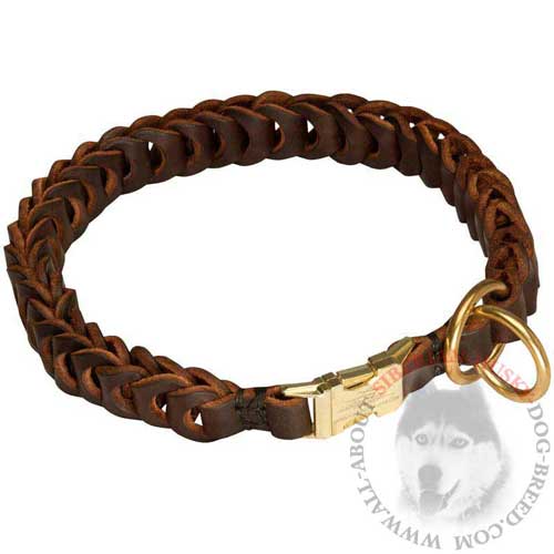 Brown Leather Siberian Husky Collar Choke Braided with Quick Release Buckle