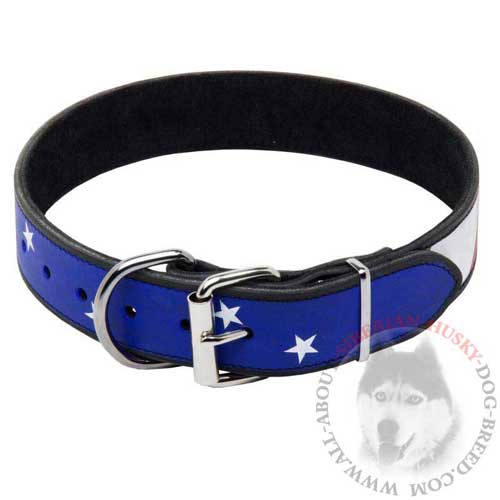 Leather Siberian Husky Collar with Nickel Buckle and D-ring