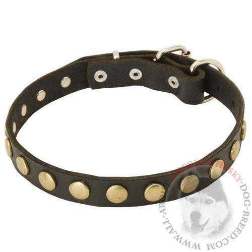 Black Leather Studded Siberian Husky Collar with Gold-like Circles