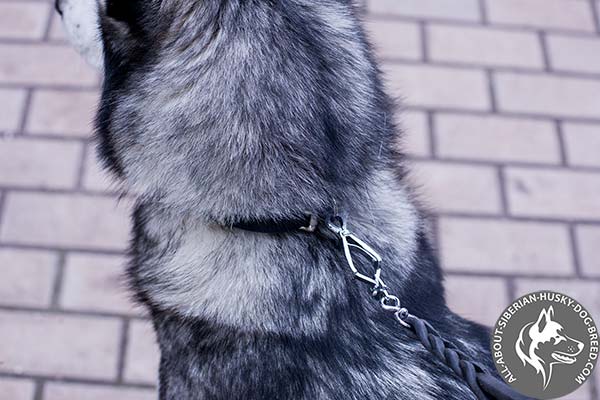 Dainty Leather Siberian Husky Collar with Resistant to Rust Hardware