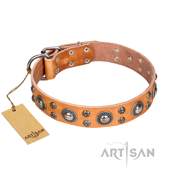 Stunning full grain natural leather dog collar for walking