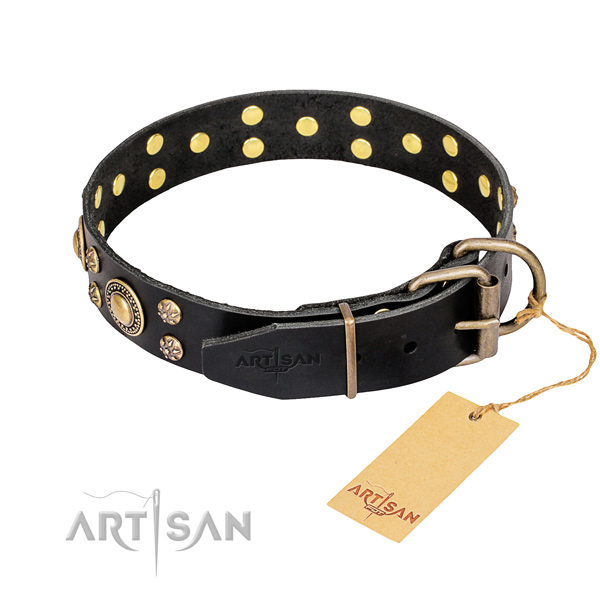 Stylish walking leather collar with studs for your canine