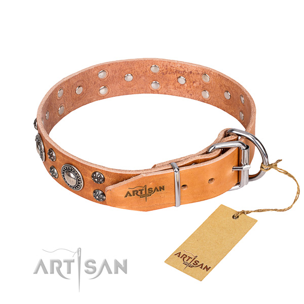 Everyday use genuine leather collar with embellishments for your four-legged friend