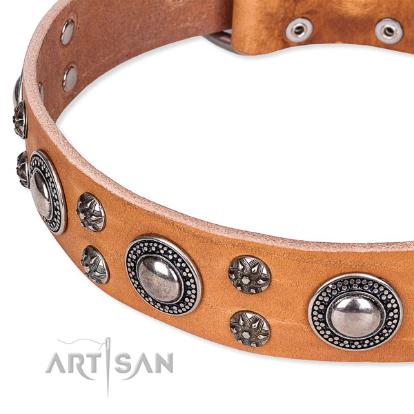 Everyday use full grain natural leather collar with strong buckle and D-ring