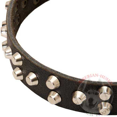 Leather Siberian Husky Collar Durable with Nickel-Plated Studs