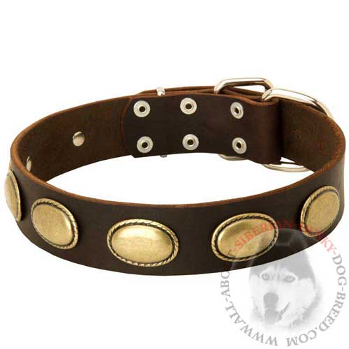 Leather Siberian Husky Collar