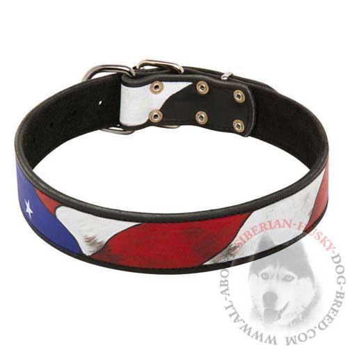 Painted Leather Collar for Siberian Husky Walking in Style