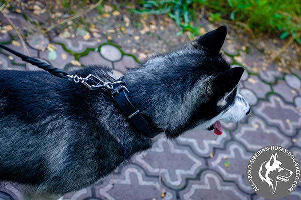 Handcrafted Leather Siberian Husky Collar with High-quality Hardware