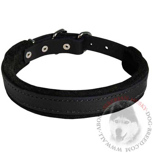 Leather Siberian Husky Collar for Dog Attack Training