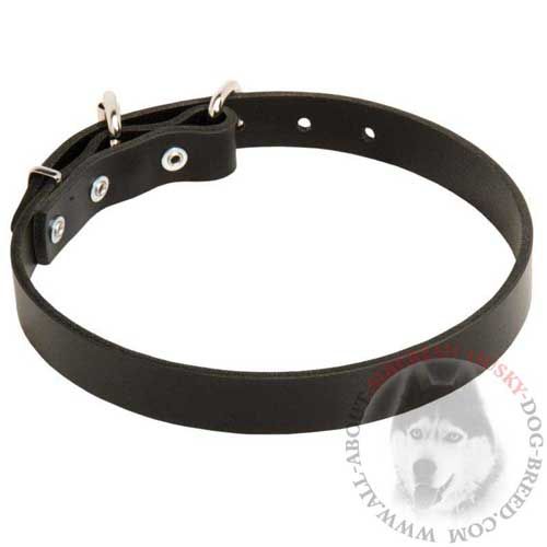Smooth Surface Leather Siberian Husky Collar for Large Dog Breeds