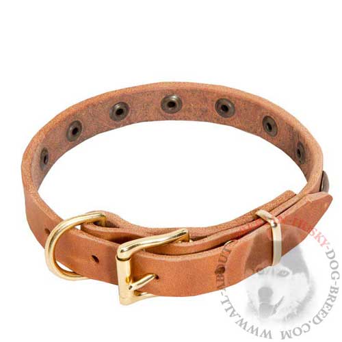 Leather Siberian Husky Collar for Puppies