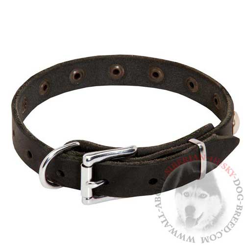 Siberian Husky Puppy Leather Dog Collar