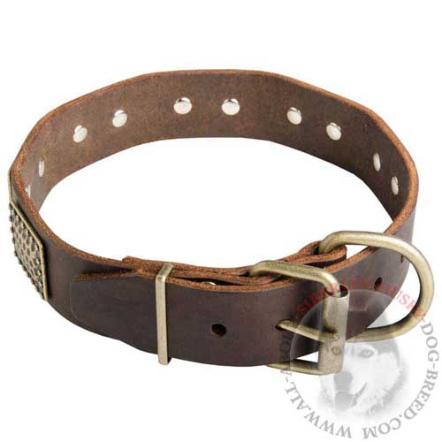 Brass Buckle and D-ring on Siberian Husky War Leather Collar