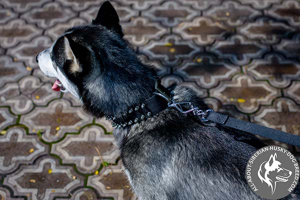 Practical Nylon Siberian Husky Collar with Reliable Hardware