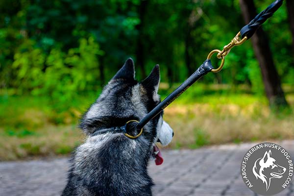 Round Leather Siberian Husky Choke Collar for Obedience Training