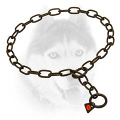 Quality Choke Chain Siberian Husky     Collar in black color