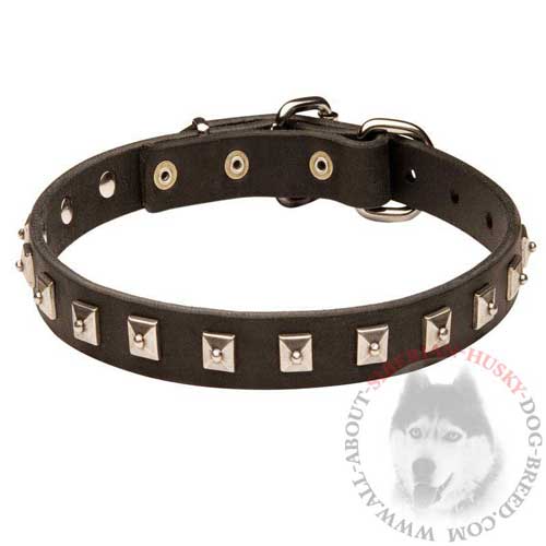 Nickel Studded Leather Dog Collar for Siberian Husky