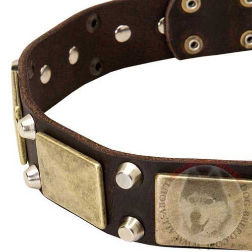 Leather Collar for Siberian Husky with Plates and Studs