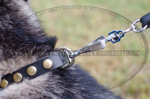 Super durable leather Siberian Husky collar