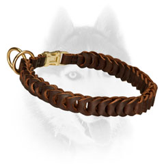 Trendy leather choke collar for Siberian Husky