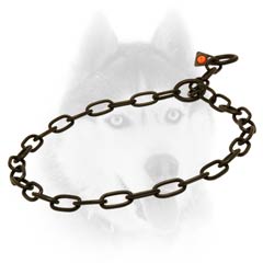 Strong Siberian Husky collar in black color