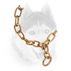 Strong Siberian Husky collar in goldish     color