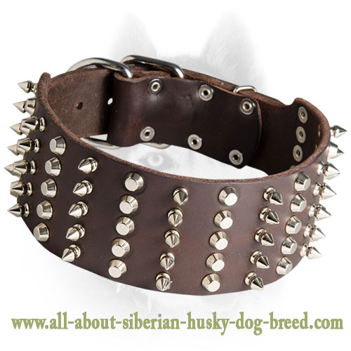 Extra Wide Leather Spiked and Studded Collar for Siberian Husky
