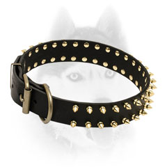 Shiny brass spikes hand set with rivets for leather Siberian Husky collar