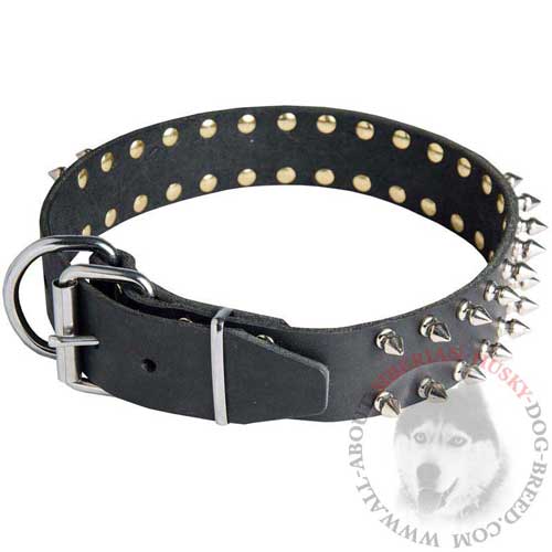 Siberian Husky Leather Collar Spiked with Silver-like Hardware