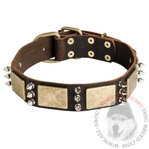 Leather Spiked Siberian Husky Collar with Brass Plates