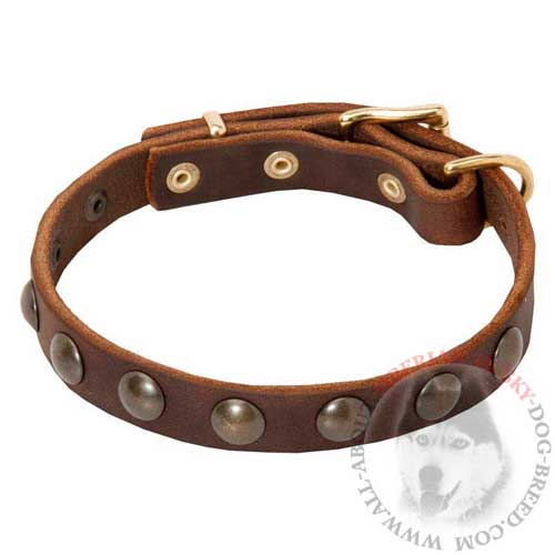 Siberian Husky Walking Collar made of Brown Leather