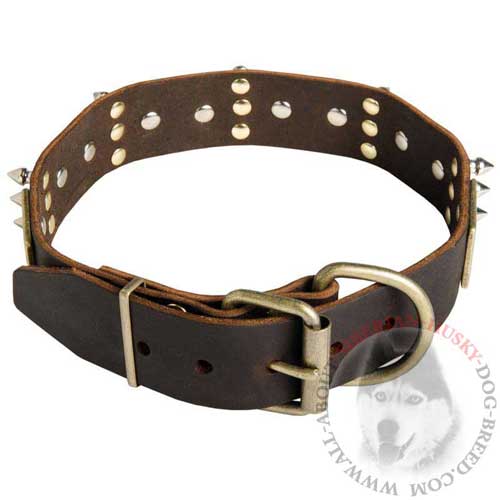 Spiked Leather Buckle Collar for Siberian Husky with Brass Hardware