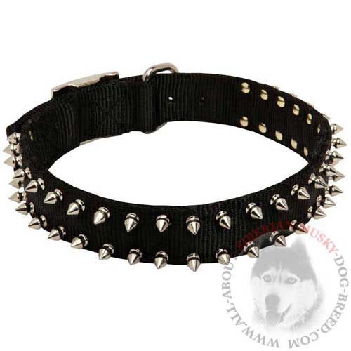 Siberian Husky Nylon Collar with Spikes for Walking in Style