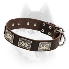 Extra wide leather Siberian Husky collar with old style massive plates