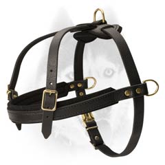 Strong durable leather Siberian Husky harness