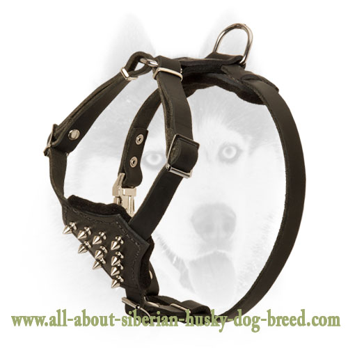 Universal Siberian Husky leather Dog Harness