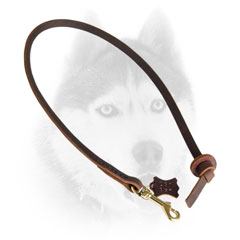 Leather Siberian Husky leash for extra control