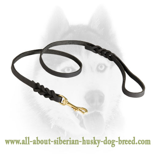 Strong leather leash with brass snap hook for Siberian Husky