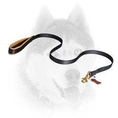 Strong Siberian Husky leash for utmost control